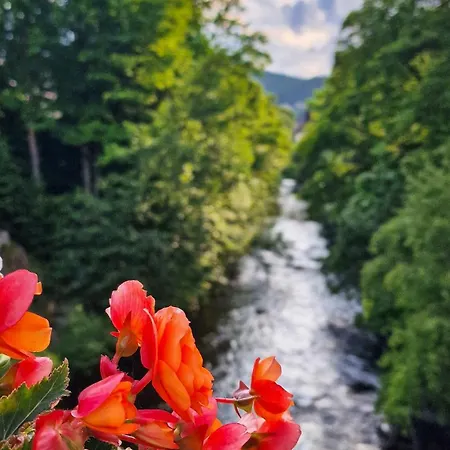 Charaktervolle 122qm Altbau-ferienwohnung Mit Stuck, Viel Platz Fuer Familien & Gruppen Bis Zu 8 Personen, Parkplatz Inklusive Lägenhet Baiersbronn