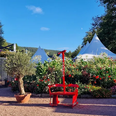 Lägenhet Charaktervolle 122qm Altbau-ferienwohnung Mit Stuck, Viel Platz Fuer Familien & Gruppen Bis Zu 8 Personen, Parkplatz Inklusive *