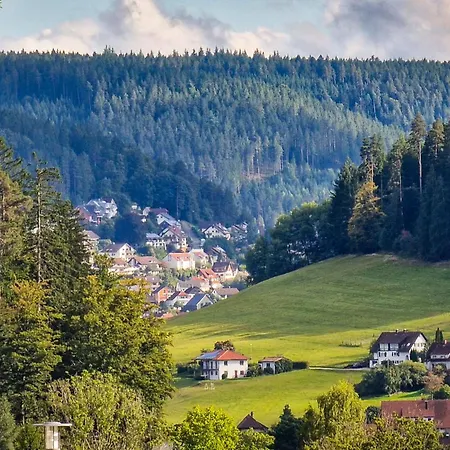 Ruhestein Quartier - Charaktervolle 113qm Perfekt Für Gruppen&familien, Ideale Lage, Nahe Bhf Und Iven, Bestens Geeignet Für Entspannte Als Auch Aktive Aufenthalte In Malerischer Umgebung *
