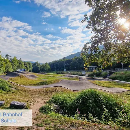 Lägenhet Charaktervolle 122qm Altbau-ferienwohnung Mit Stuck, Viel Platz Fuer Familien & Gruppen Bis Zu 8 Personen, Parkplatz Inklusive Baiersbronn