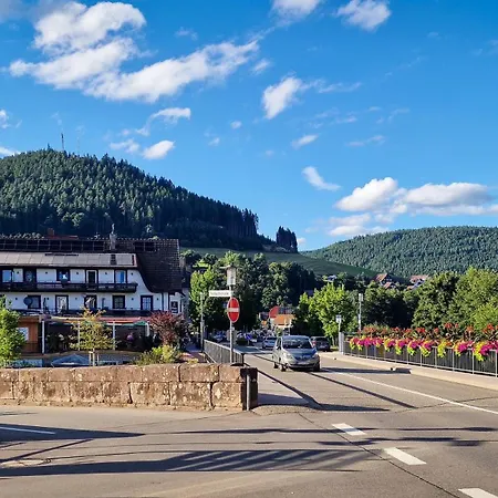 Ruhestein Quartier - Charaktervolle 113qm Perfekt Für Gruppen&familien, Ideale Lage, Nahe Bhf Und Iven, Bestens Geeignet Für Entspannte Als Auch Aktive Aufenthalte In Malerischer Umgebung