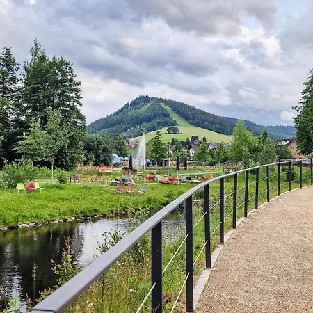 Ruhestein Quartier - Charaktervolle 113qm Perfekt Für Gruppen&familien, Ideale Lage, Nahe Bhf Und Iven, Bestens Geeignet Für Entspannte Als Auch Aktive Aufenthalte In Malerischer Umgebung Apartment *